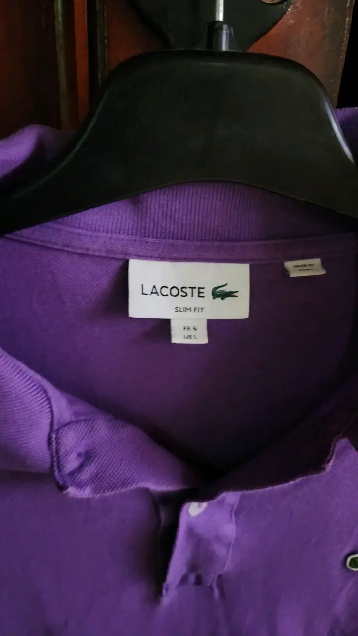 Poleras Polo, Lacoste - 6