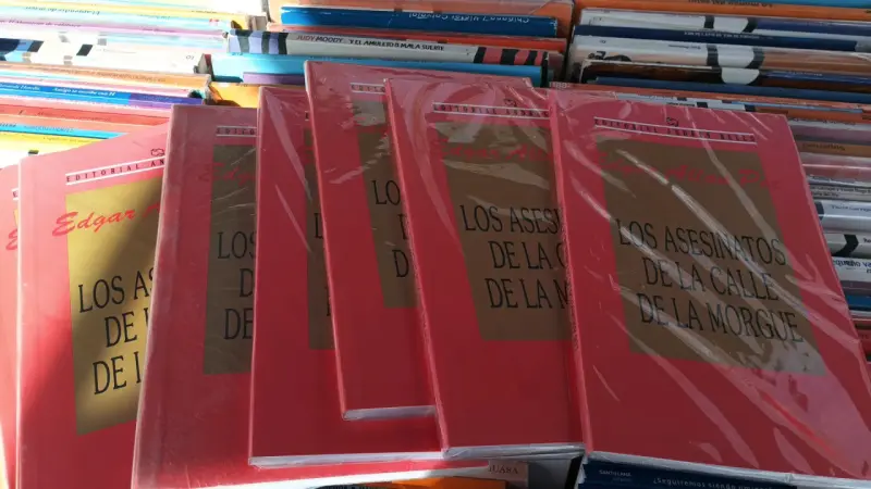 Libro Rompecabezas de María Fernanda Maquieira - 2
