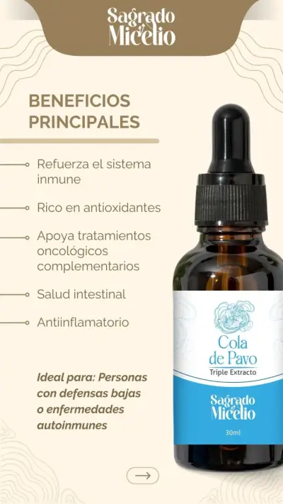 Extractos Sagrado Micelio 30ml - miniatura 6