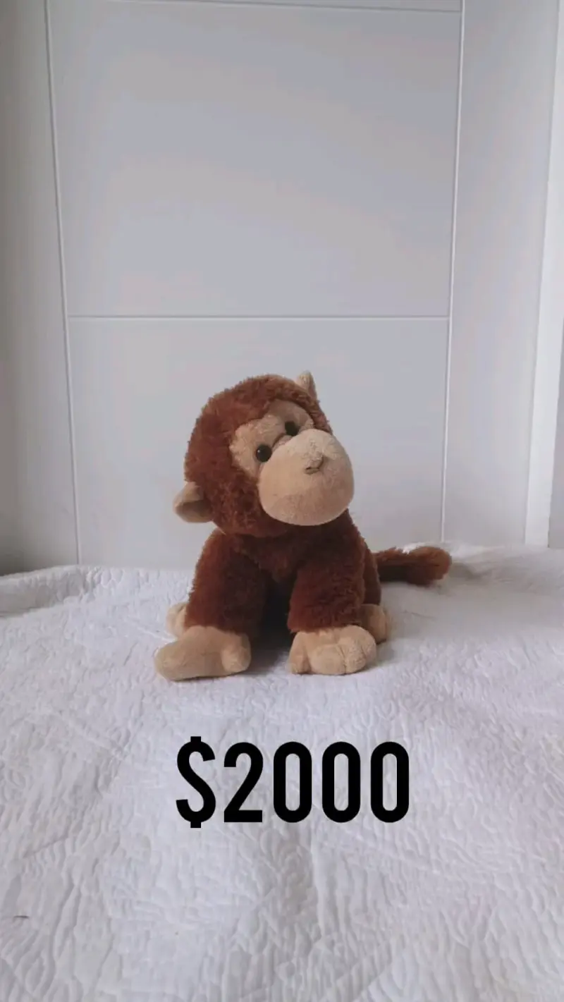 Peluches - 1