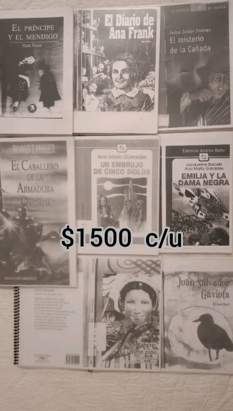 libros infantiles variados - 2