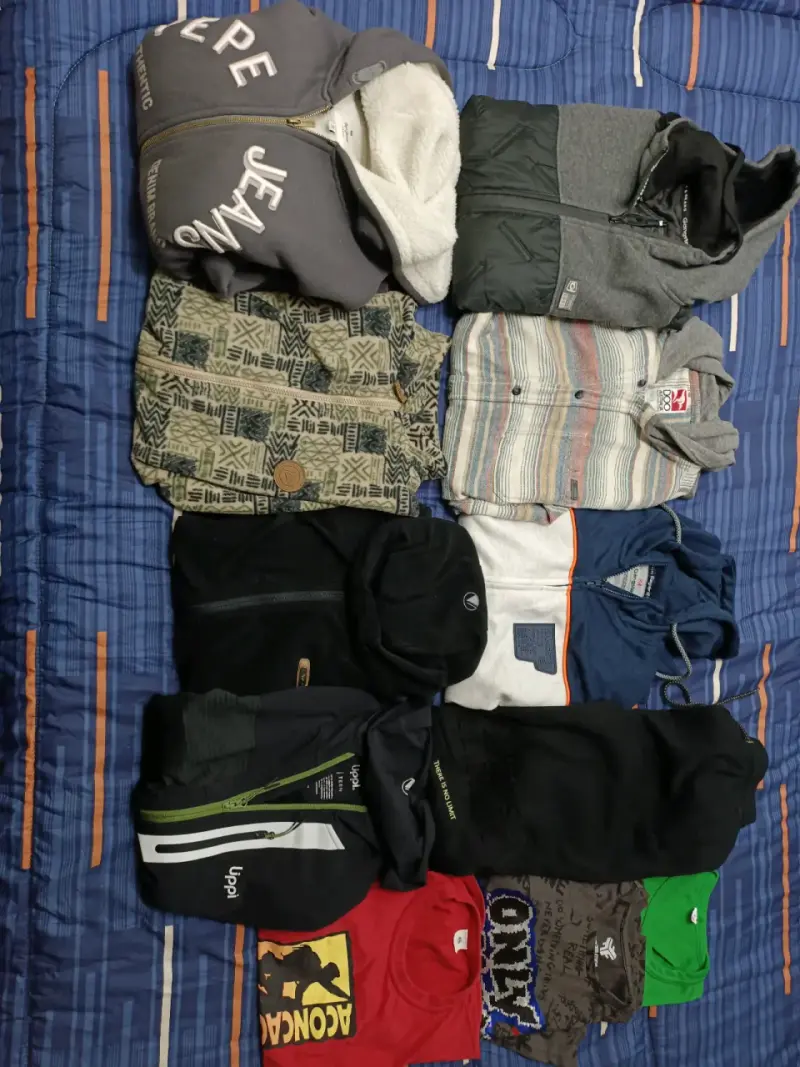 Lote de polerones y poleras variadas