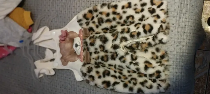Ropa de bebe 3 asta 9 mesas - 5
