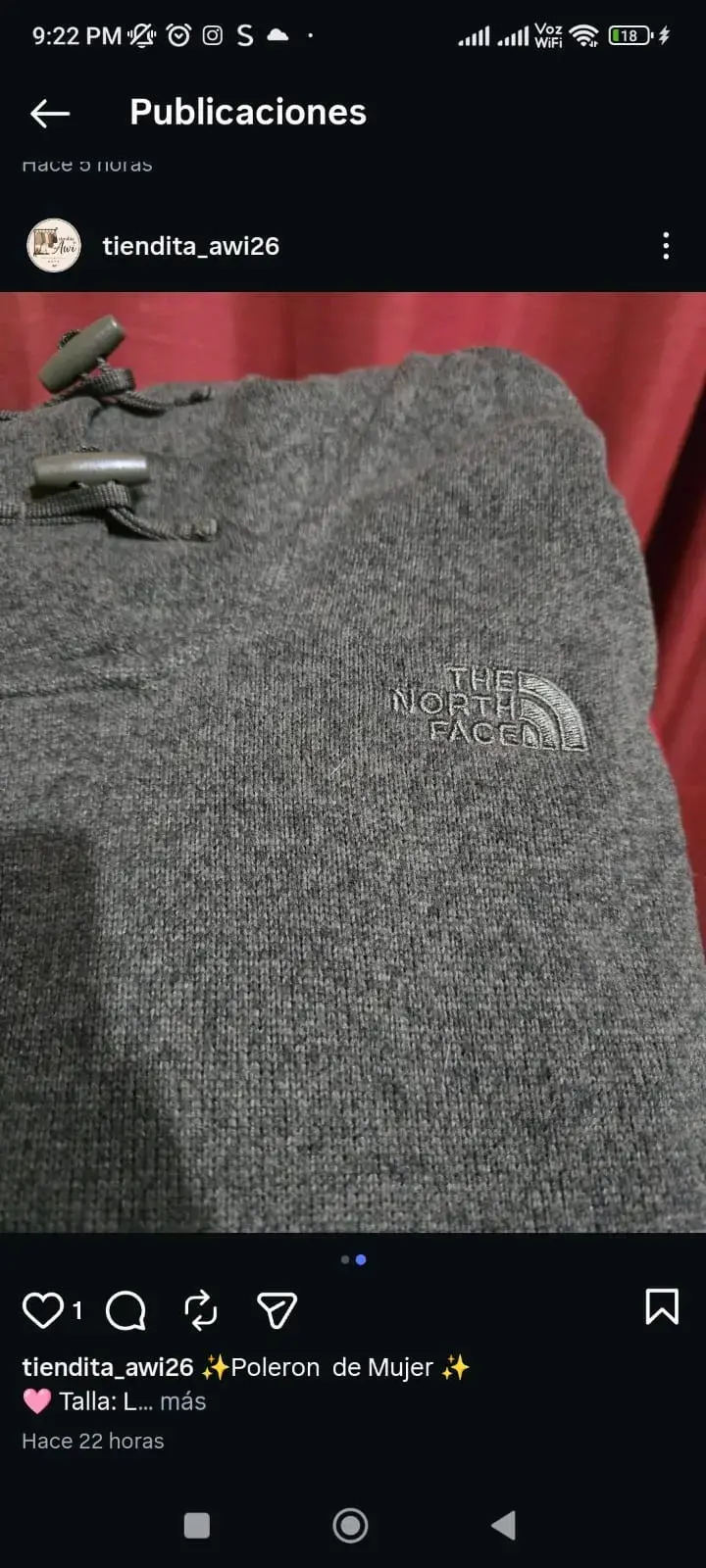 Polerón gris The North Face con capucha - 2