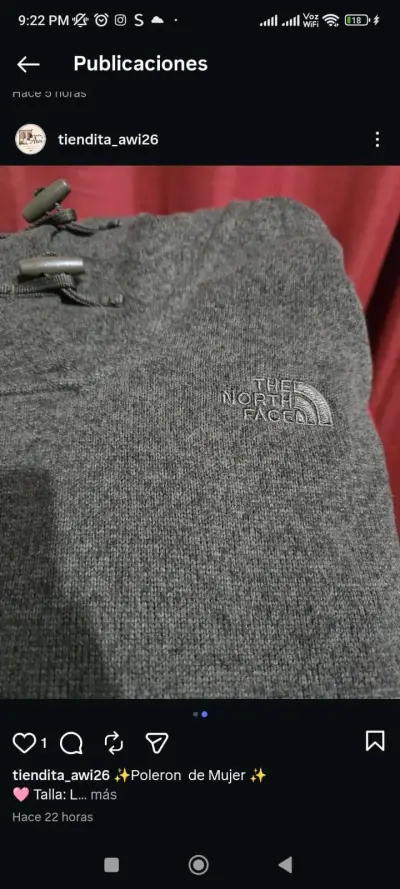 Polerón gris The North Face con capucha - miniatura 2
