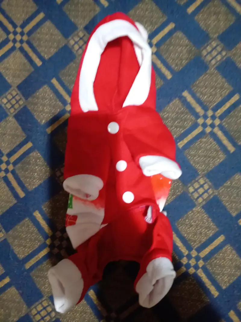 Disfraz navideño para perro - 1