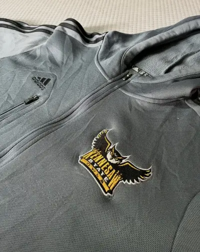Polerón Adidas gris con capucha y logo bordado - miniatura 1