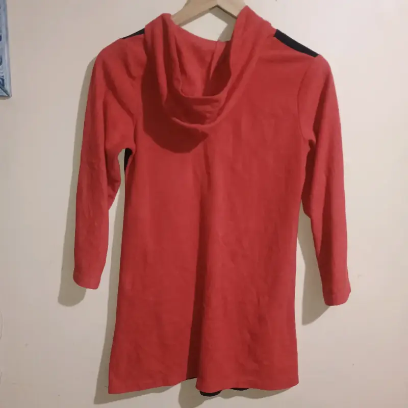 Polera Angry Birds con capucha - 2