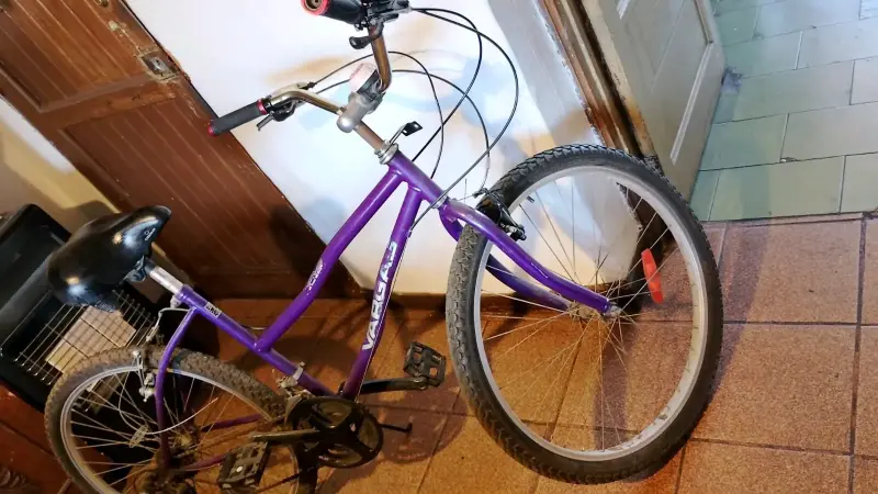 Bicicleta Vargas aro 26