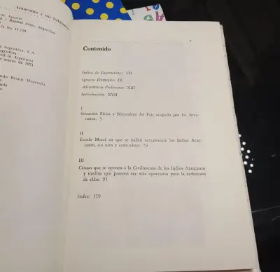 Araucanía Y Sus Habitantes - Ignacio Domeyko - miniatura 3