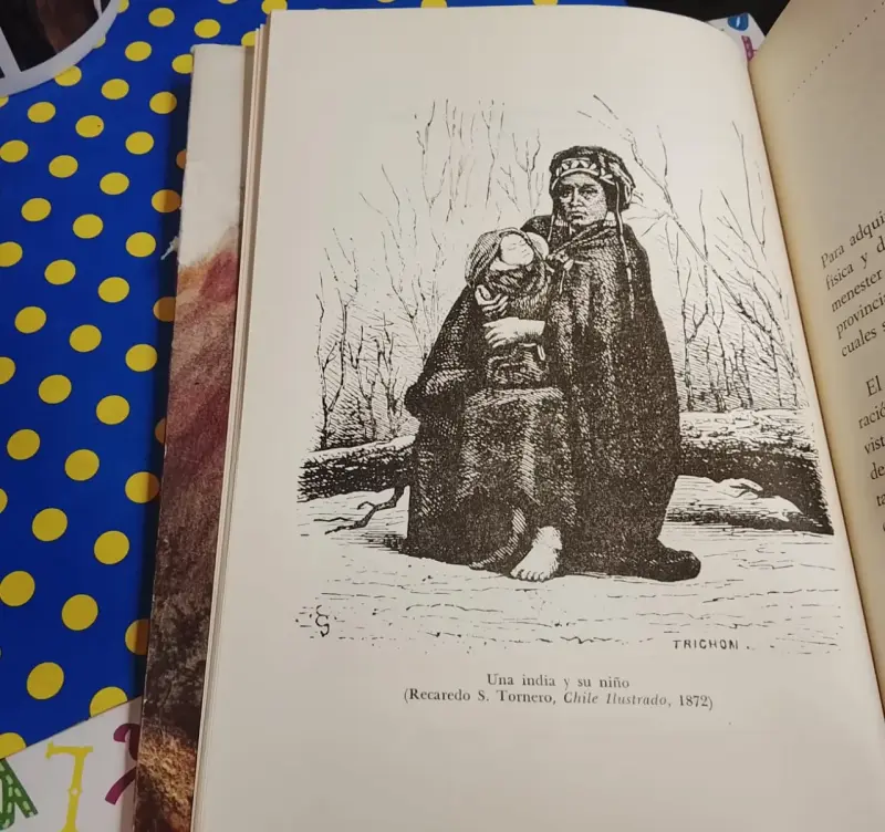 Araucanía Y Sus Habitantes - Ignacio Domeyko - 4