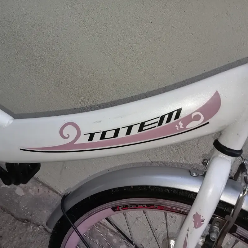 Bicicleta Totem Little Rose blanca - 6