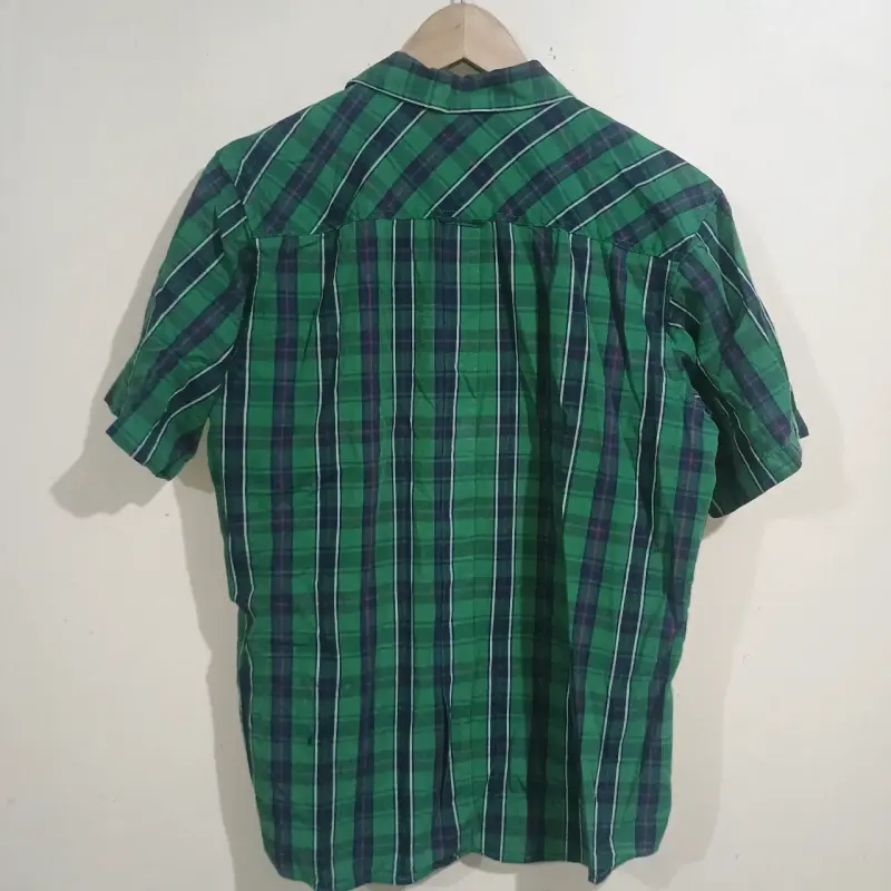 Camisa a cuadros verde Robert Lewis - 2