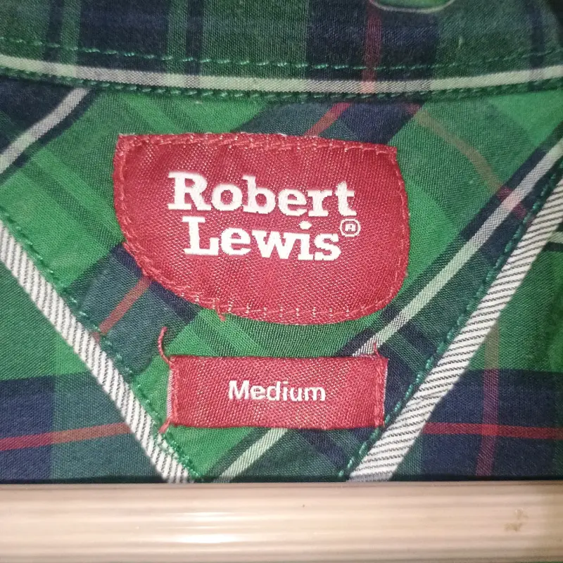 Camisa a cuadros verde Robert Lewis - 4