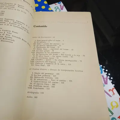 Interpretación Histórica Del Huaso Chileno - Rene - miniatura 3