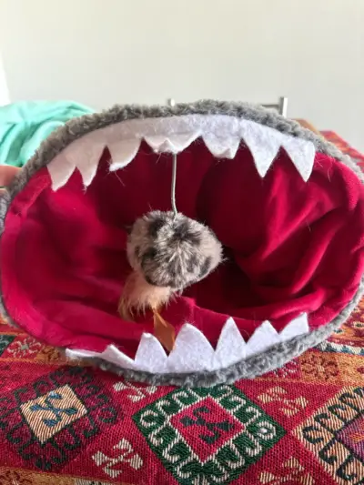 Cama para gato con diseño de tiburón - miniatura 1