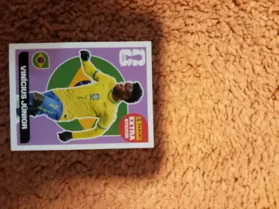 Colección de láminas Panini Copa Mundial 2022 - miniatura 2