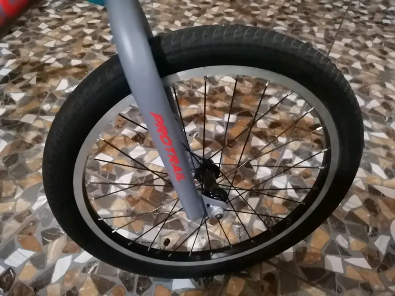Bicicleta - 2