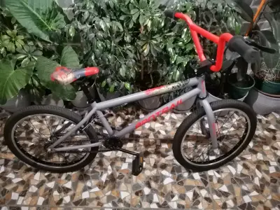 Bicicleta - miniatura 5