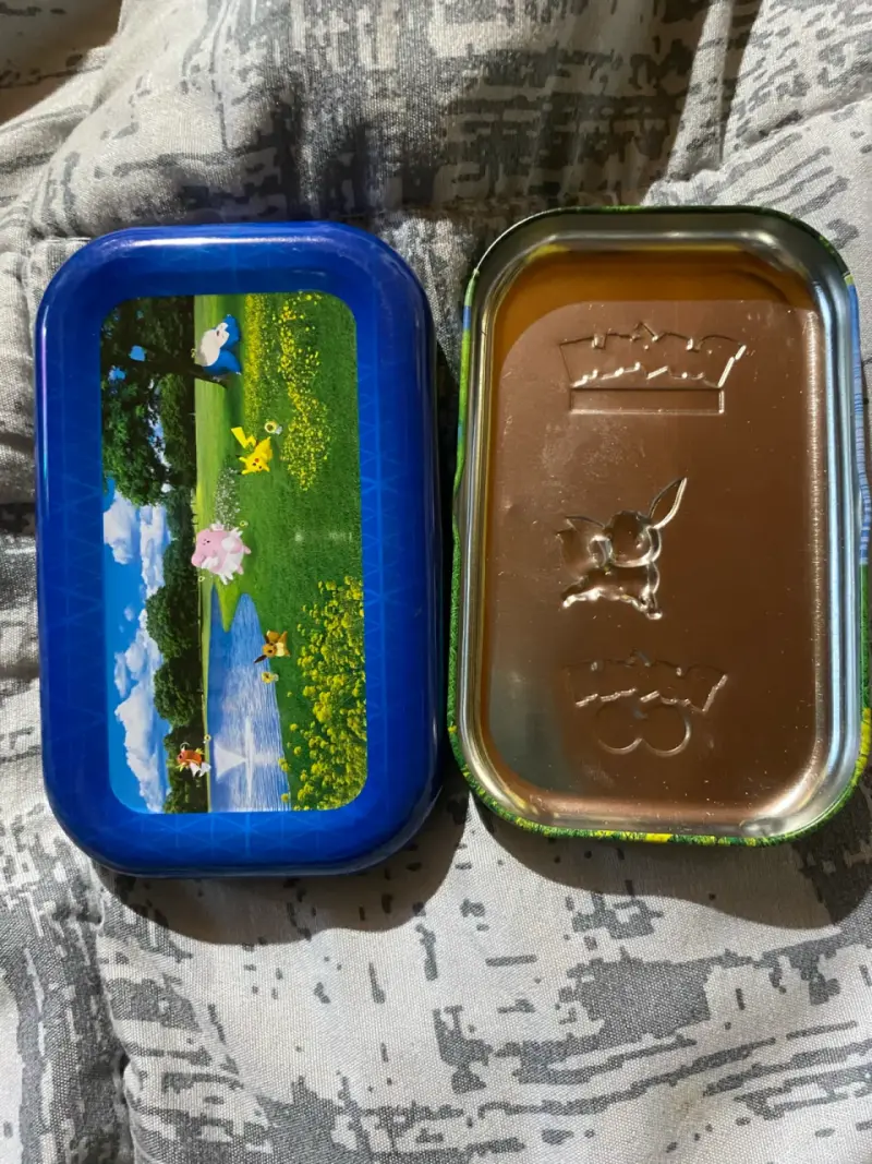 Lata vacia Pokemon GO Eevee - 2
