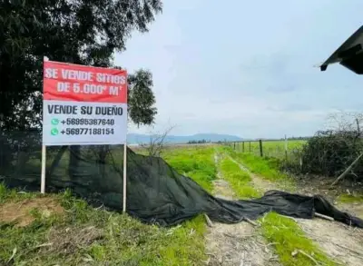 Terreno de 5000 m² en venta por dueño peralillo VI - miniatura 1