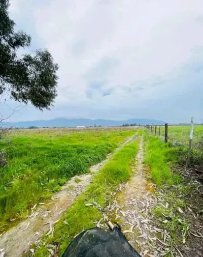 Terreno de 5000 m² en venta por dueño peralillo VI - miniatura 2
