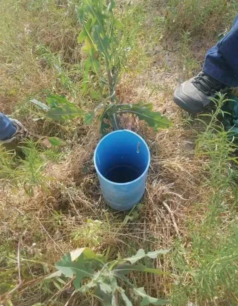 Terreno de 5000 m² en venta por dueño peralillo VI - 3