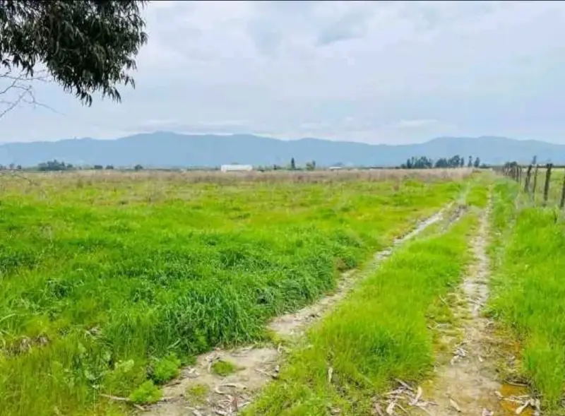 Terreno de 5000 m² en venta por dueño peralillo VI - 4