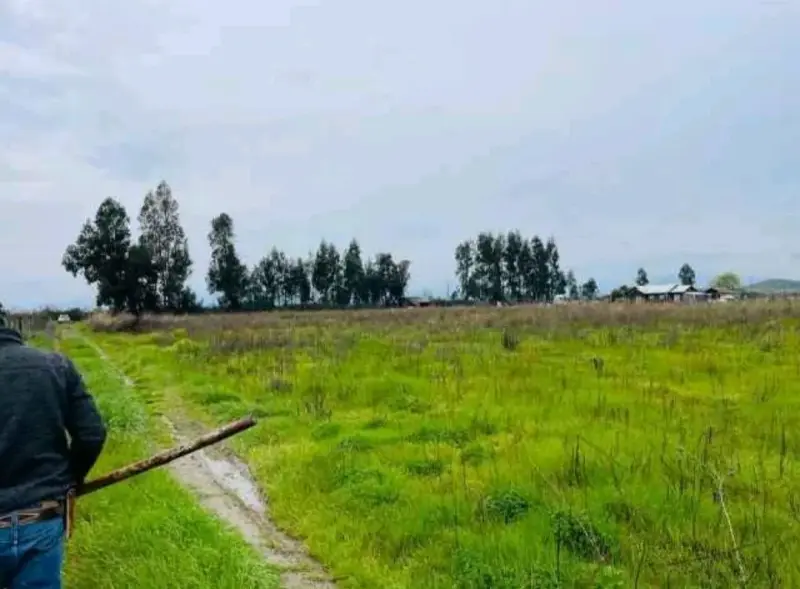 Terreno de 5000 m² en venta por dueño peralillo VI - 5