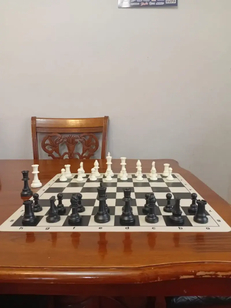 Juego de ajedrez completo NUEVO - 2