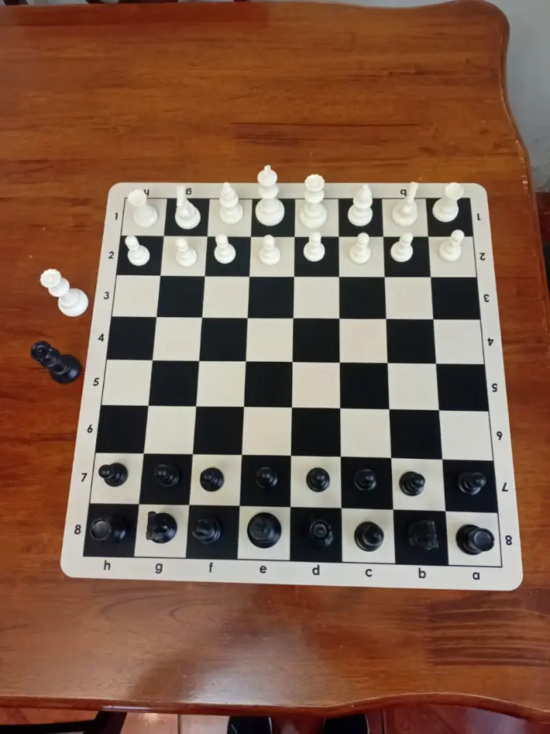 Juego de ajedrez completo NUEVO - 6
