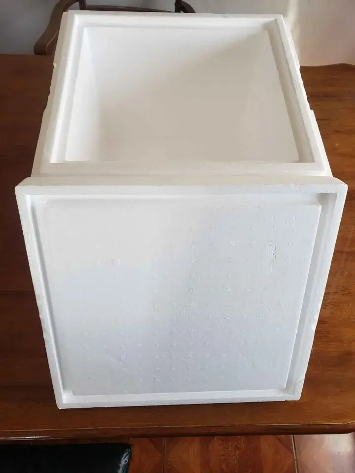 Caja térmica de poliestireno +2 GELES REFRIGERANTE - 4