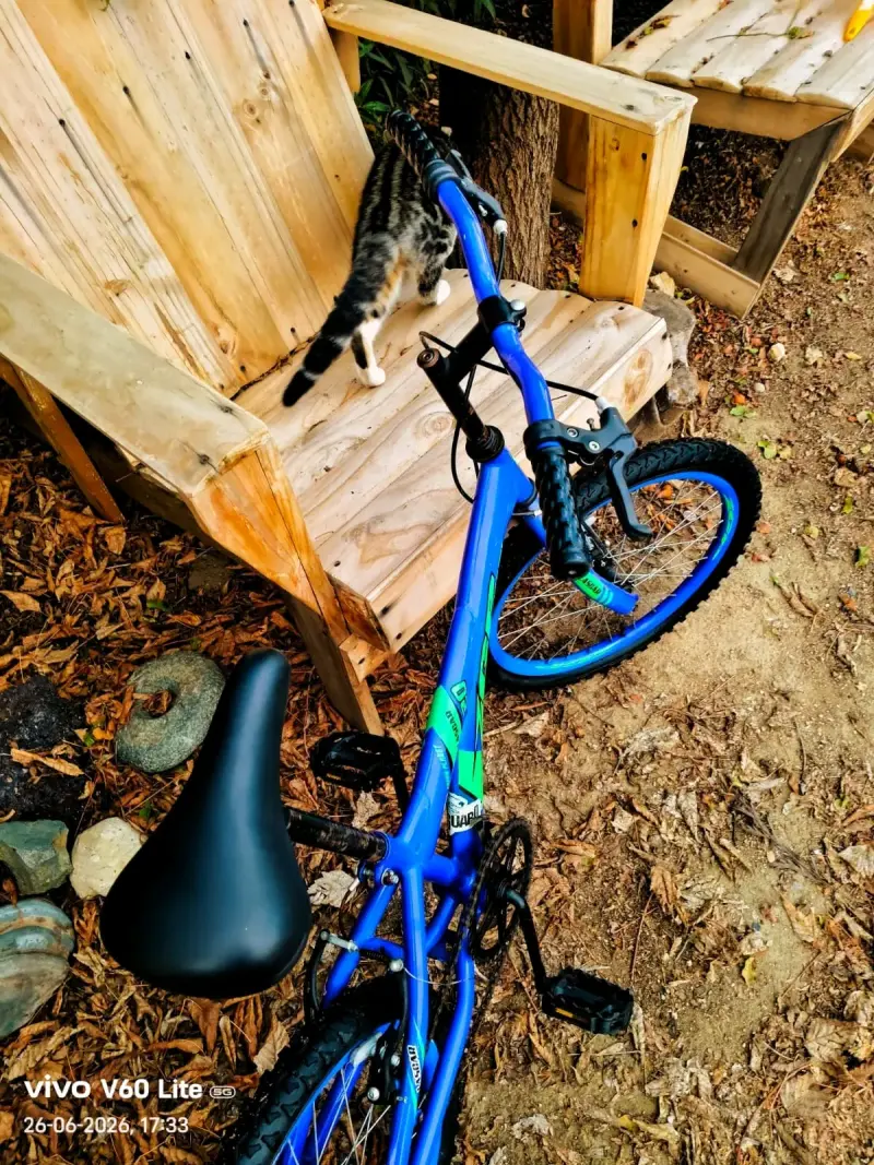 Bicicleta infantil azul ZGP - 2