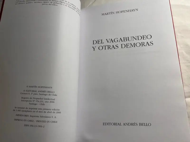 Libro 'Del vagabundeo y otras demoras' de Martín Hopenhayn - 2