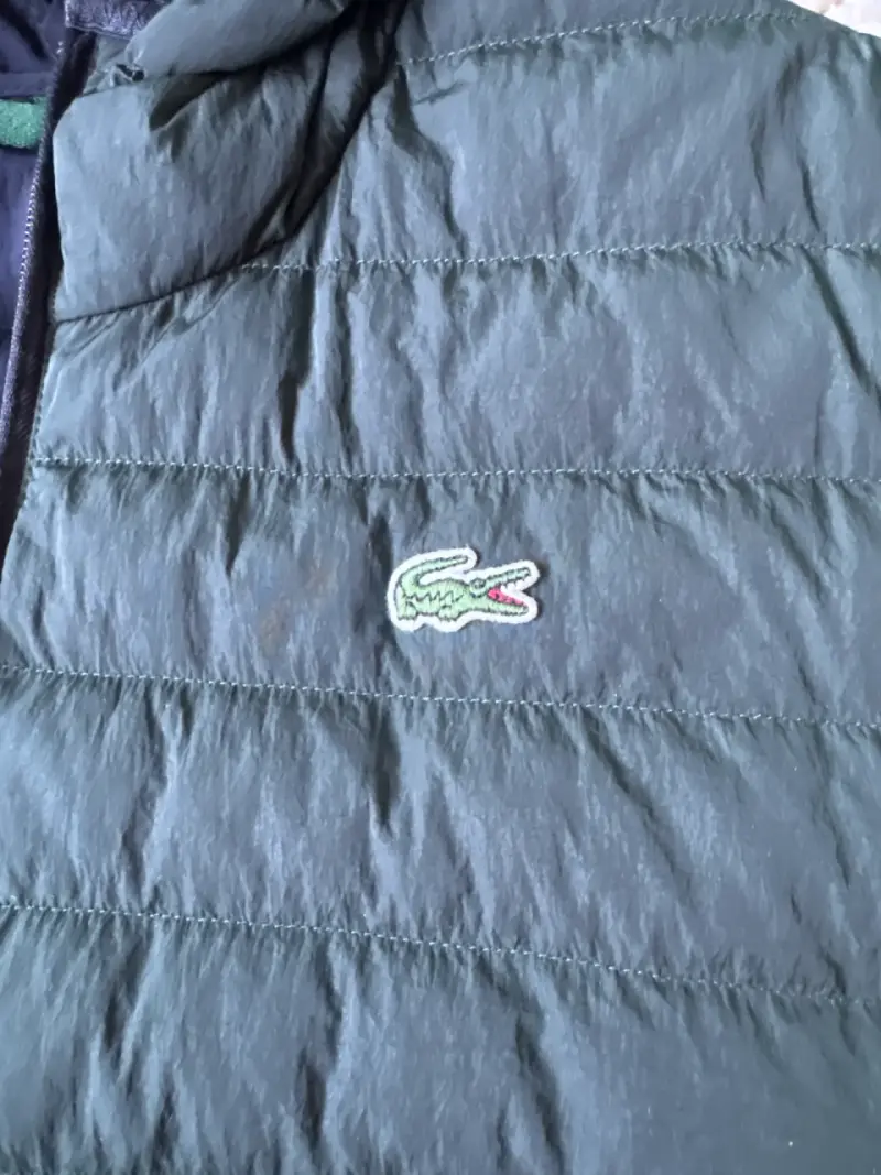 Chaqueta acolchada verde con capucha Lacoste - 3