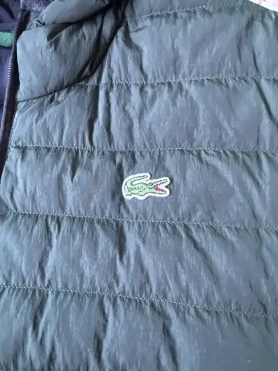 Chaqueta acolchada verde con capucha Lacoste - miniatura 3