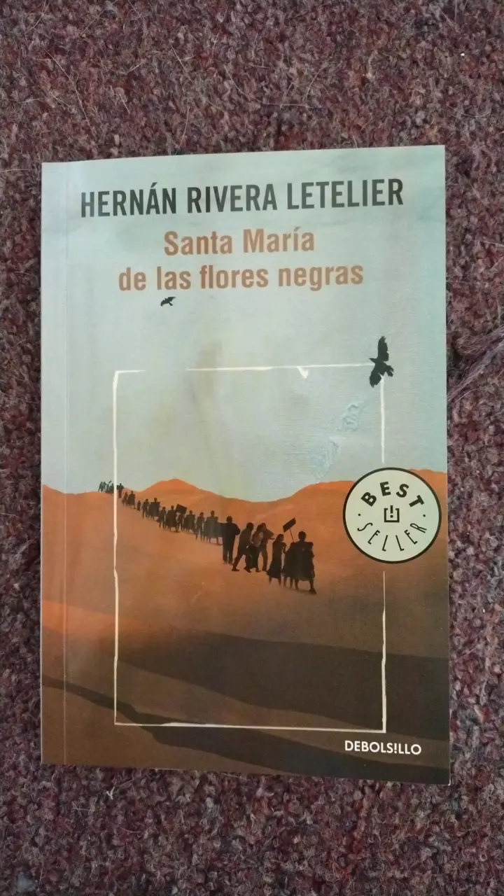 Libro Santa María de las flores negras - 1