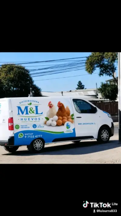 Huevos de gallina libre - miniatura 1