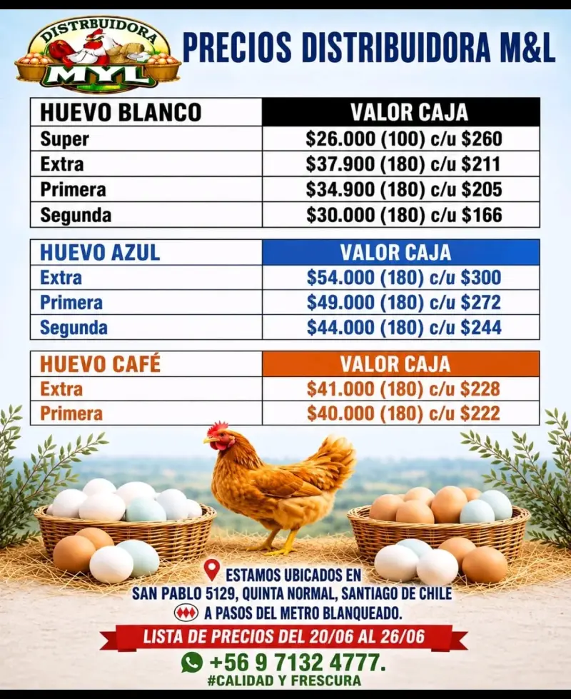 Huevos de gallina libre - 4