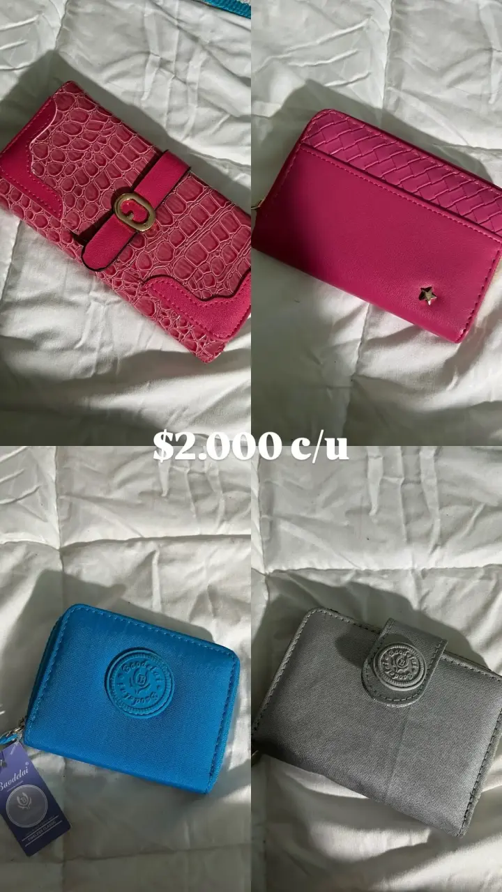 Set de billeteras de colores variados - 2