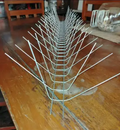 Pinchos anti palomas - miniatura 2