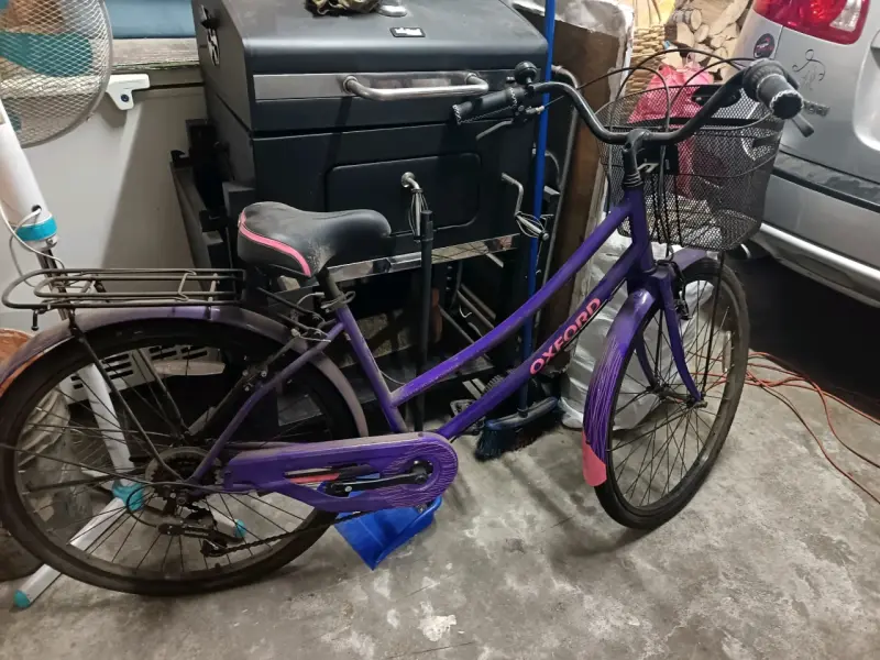 Bicicleta Oxford morada con canasto - 2