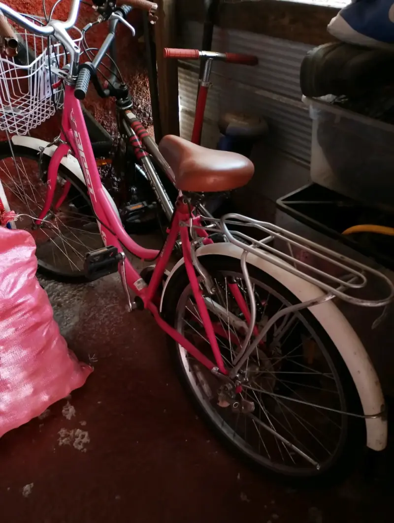 Bicicleta vintage rosada con canasto - 2