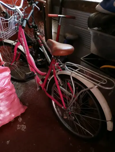 Bicicleta vintage rosada con canasto - miniatura 2