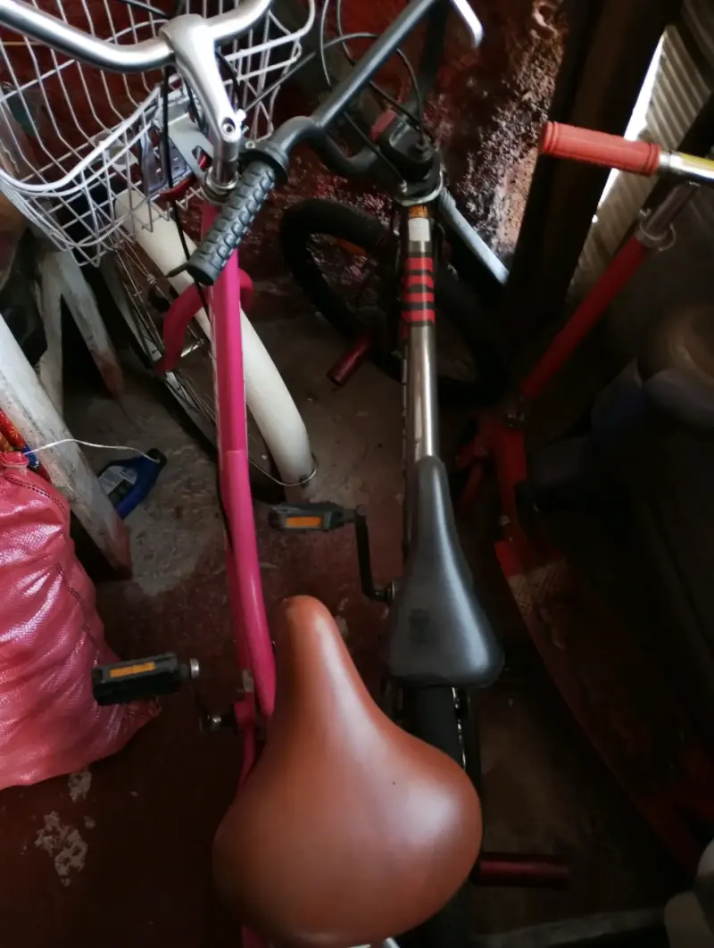 Bicicleta vintage rosada con canasto - 3