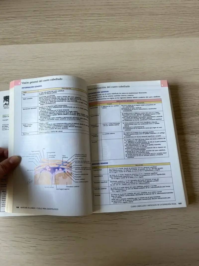 Libro Netter Anatomía de Cabeza y Cuello - 2