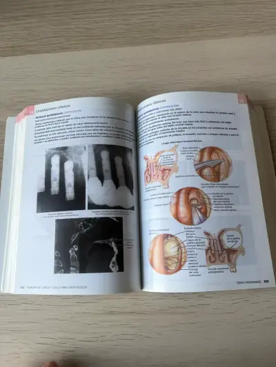 Libro Netter Anatomía de Cabeza y Cuello - miniatura 3