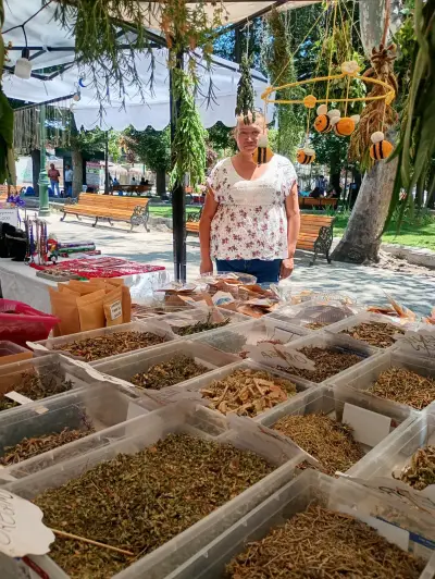 Hierbas medicinales - miniatura 5