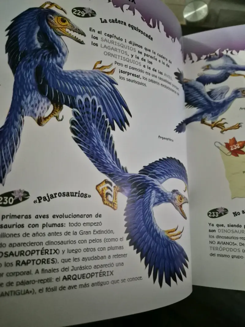 Libro 500 Preguntas y Respuestas sobre Dinosaurios - 3