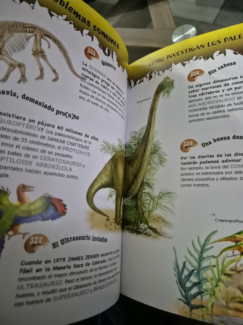 Libro 500 Preguntas y Respuestas sobre Dinosaurios - 4